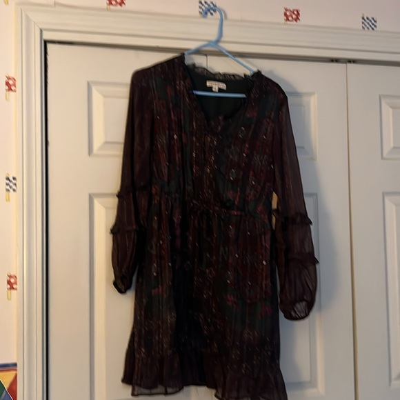 NEW ladies, large lined dress with 2 pockets Frye and Co - Picture 1 of 12